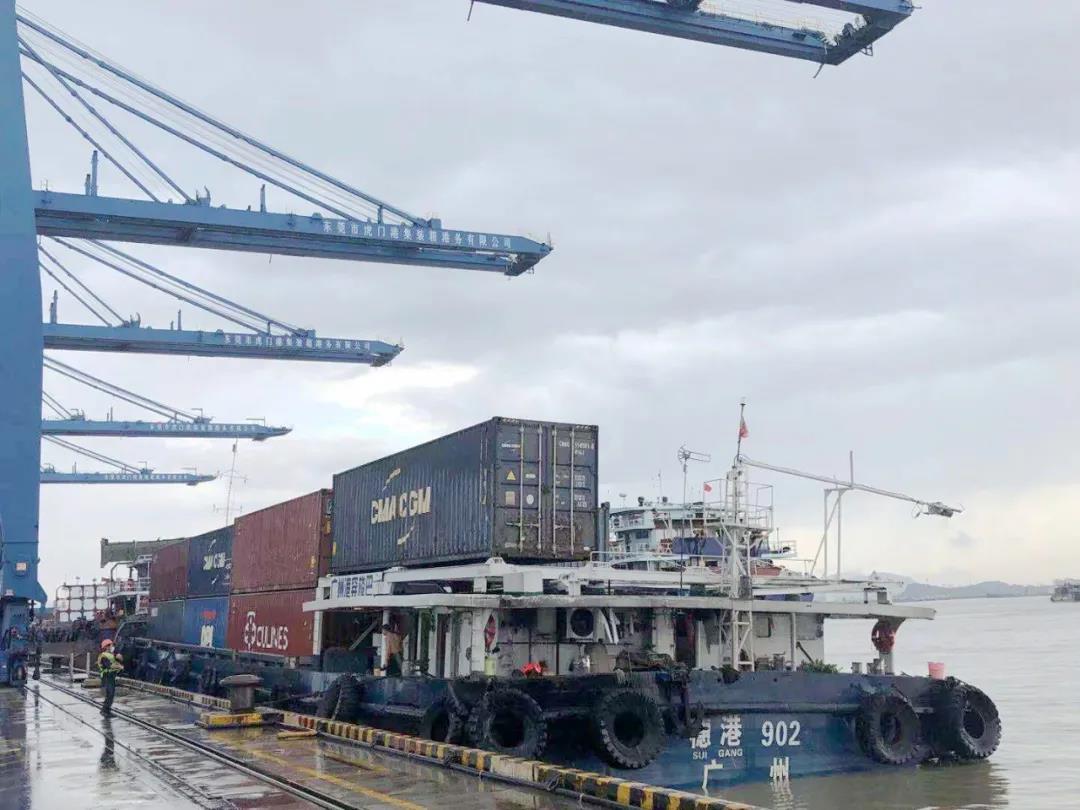战“疫”在行动，东莞港务集团推出多重方案保障国际供应链畅通