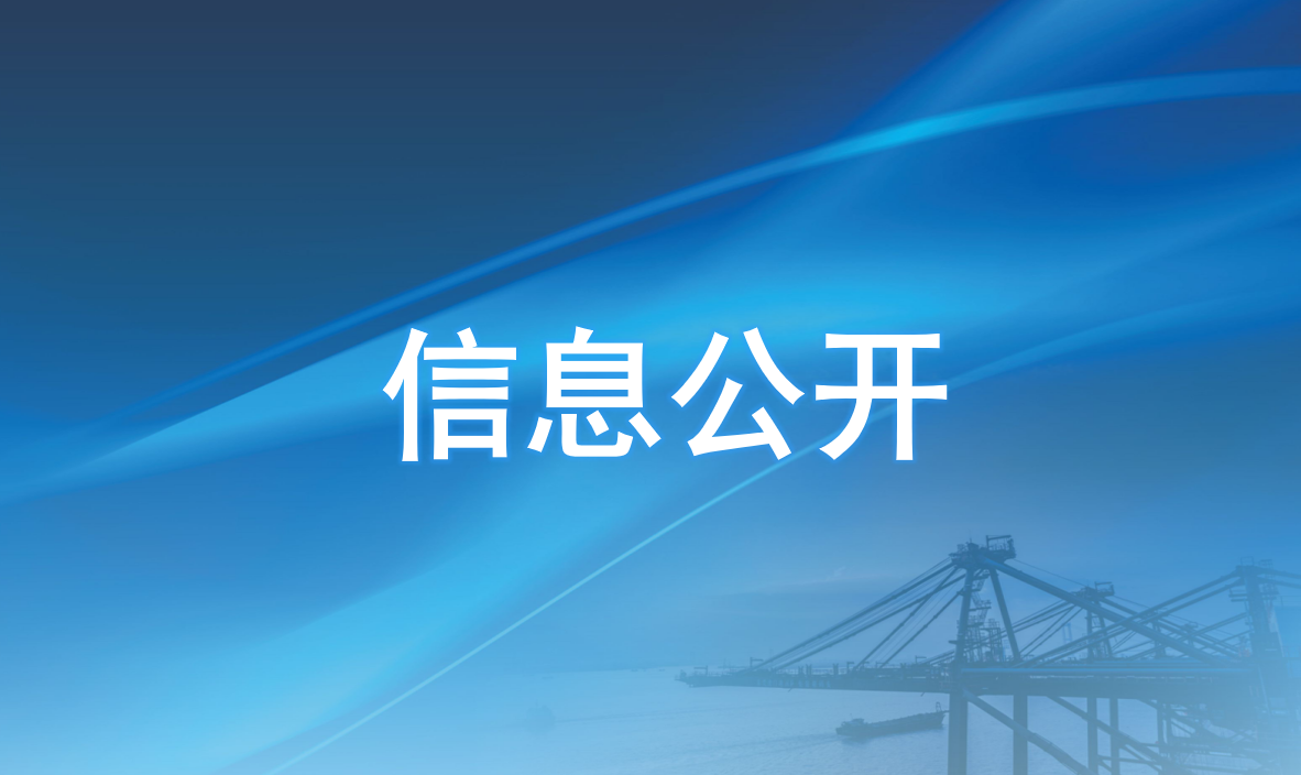 东莞港国际集装箱码头有限公司信息公开资料