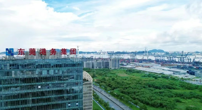 东莞港务集团党建工作经验做法入选国务院国资委《地方国有企业改革深化提升行动案例集》