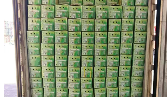 台湾文旦柚“搭乘”直航船舶抵达东莞港！