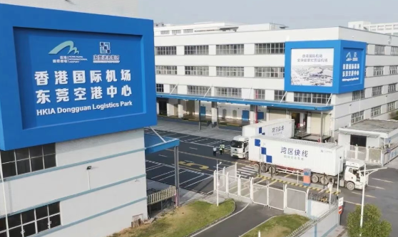 坚守诠释硬担当 奋斗奏响新征程——空港中心及电商中心春节期间“不打烊”